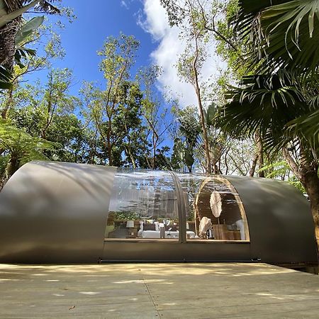 Bubble Lodge Bois Cheri Plantation Bagian luar foto