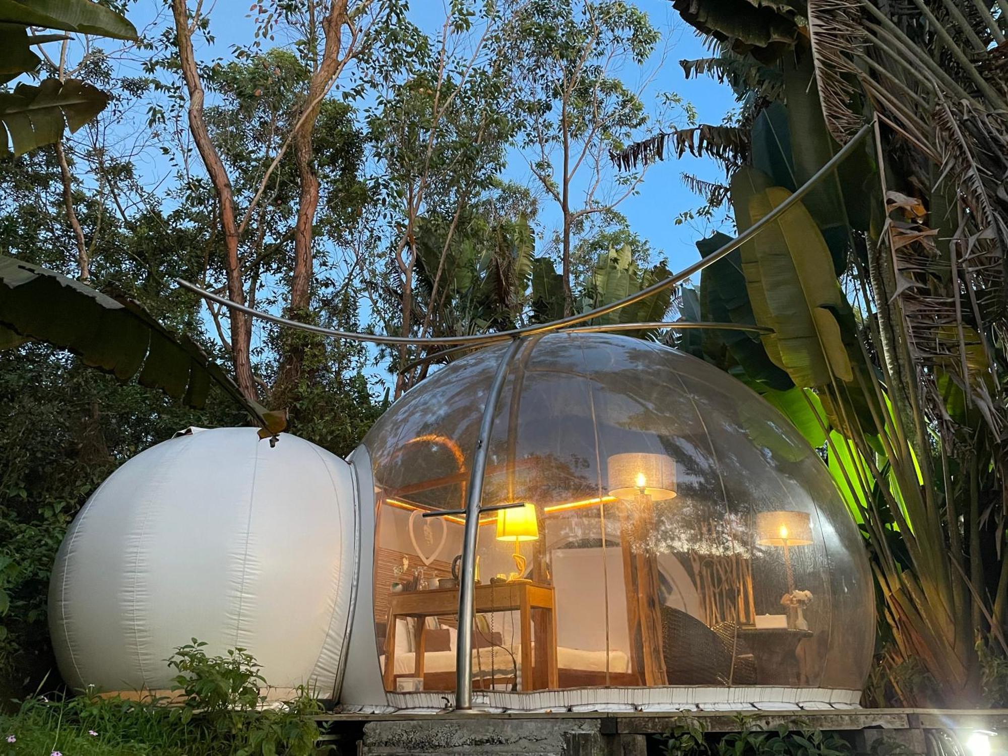 Bubble Lodge Bois Cheri Plantation Bagian luar foto